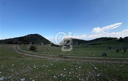 Manisa Ayvacık'ta Ana Yola Yakın 5664m² Elmalık Satılık Tarla