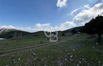 Manisa Ayvacık'ta Ana Yola Yakın 5664m² Elmalık Satılık Tarla