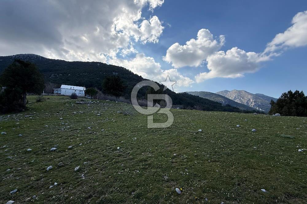 Manisa Ayvacık'ta Ana Yola Yakın 5664m² Elmalık Satılık Tarla