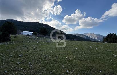 Manisa Ayvacık'ta Ana Yola Yakın 5664m² Elmalık Satılık Tarla