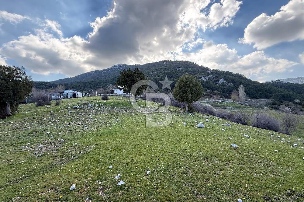 Manisa Ayvacık'ta Ana Yola Yakın 5664m² Elmalık Satılık Tarla