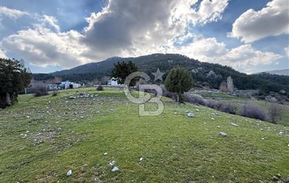 Manisa Ayvacık'ta Ana Yola Yakın 5664m² Elmalık Satılık Tarla