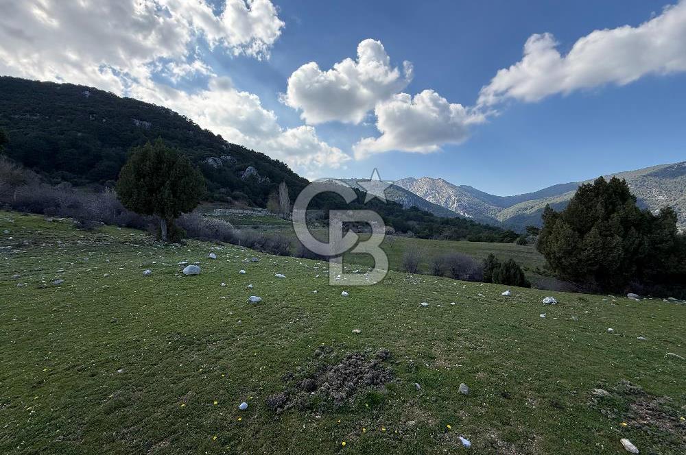 Manisa Ayvacık'ta Ana Yola Yakın 5664m² Elmalık Satılık Tarla