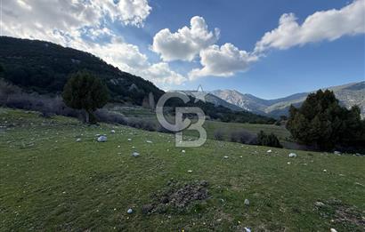 Manisa Ayvacık'ta Ana Yola Yakın 5664m² Elmalık Satılık Tarla