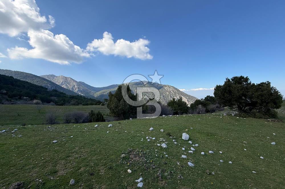 Manisa Ayvacık'ta Ana Yola Yakın 5664m² Elmalık Satılık Tarla