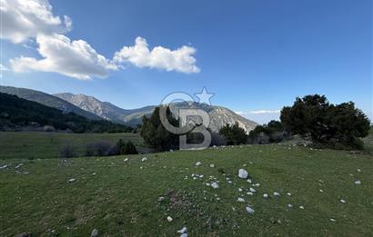 Manisa Ayvacık'ta Ana Yola Yakın 5664m² Elmalık Satılık Tarla