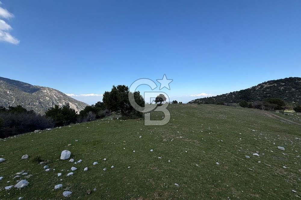 Manisa Ayvacık'ta Ana Yola Yakın 5664m² Elmalık Satılık Tarla