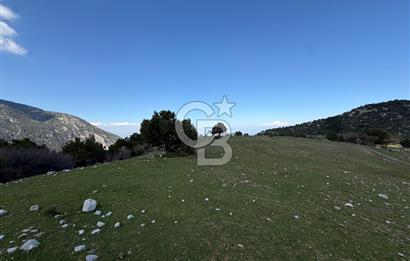 Manisa Ayvacık'ta Ana Yola Yakın 5664m² Elmalık Satılık Tarla