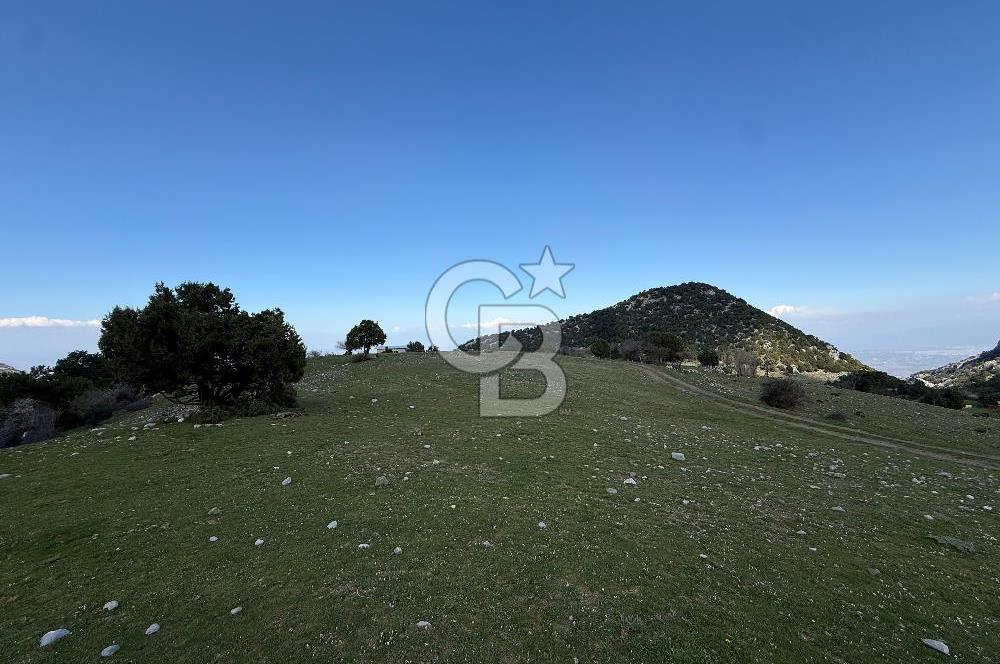 Manisa Ayvacık'ta Ana Yola Yakın 5664m² Elmalık Satılık Tarla