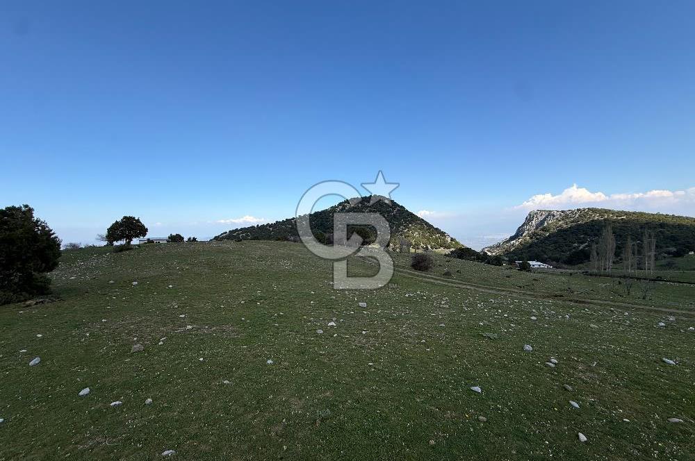 Manisa Ayvacık'ta Ana Yola Yakın 5664m² Elmalık Satılık Tarla