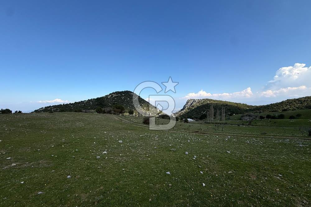 Manisa Ayvacık'ta Ana Yola Yakın 5664m² Elmalık Satılık Tarla