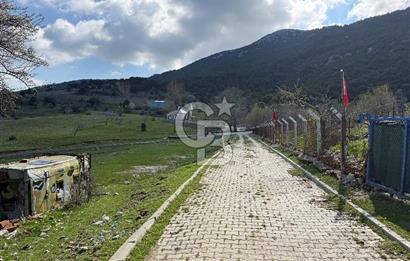 Manisa Ayvacık'ta Ana Yola Yakın 5664m² Elmalık Satılık Tarla