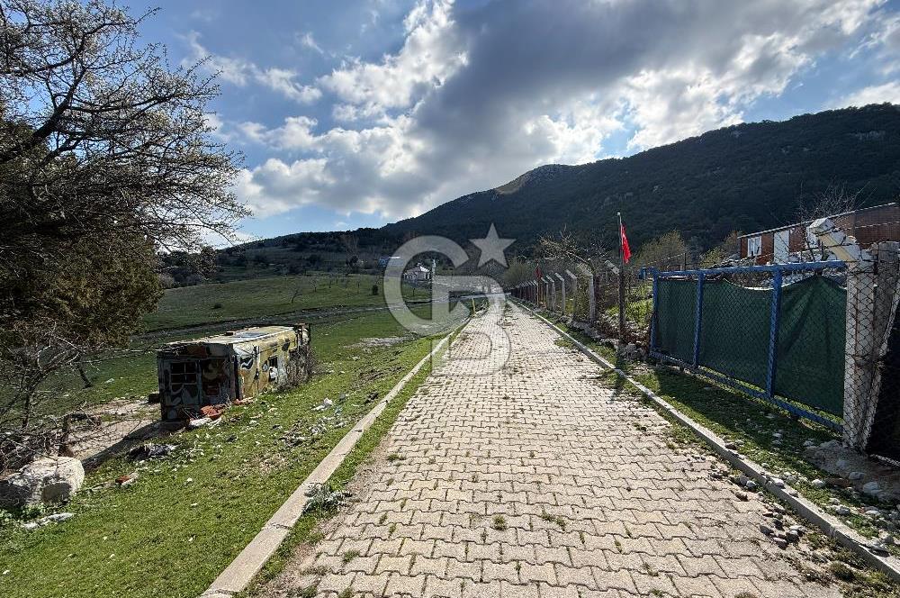 Manisa Ayvacık'ta Ana Yola Yakın 5664m² Elmalık Satılık Tarla