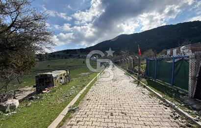 Manisa Ayvacık'ta Ana Yola Yakın 5664m² Elmalık Satılık Tarla