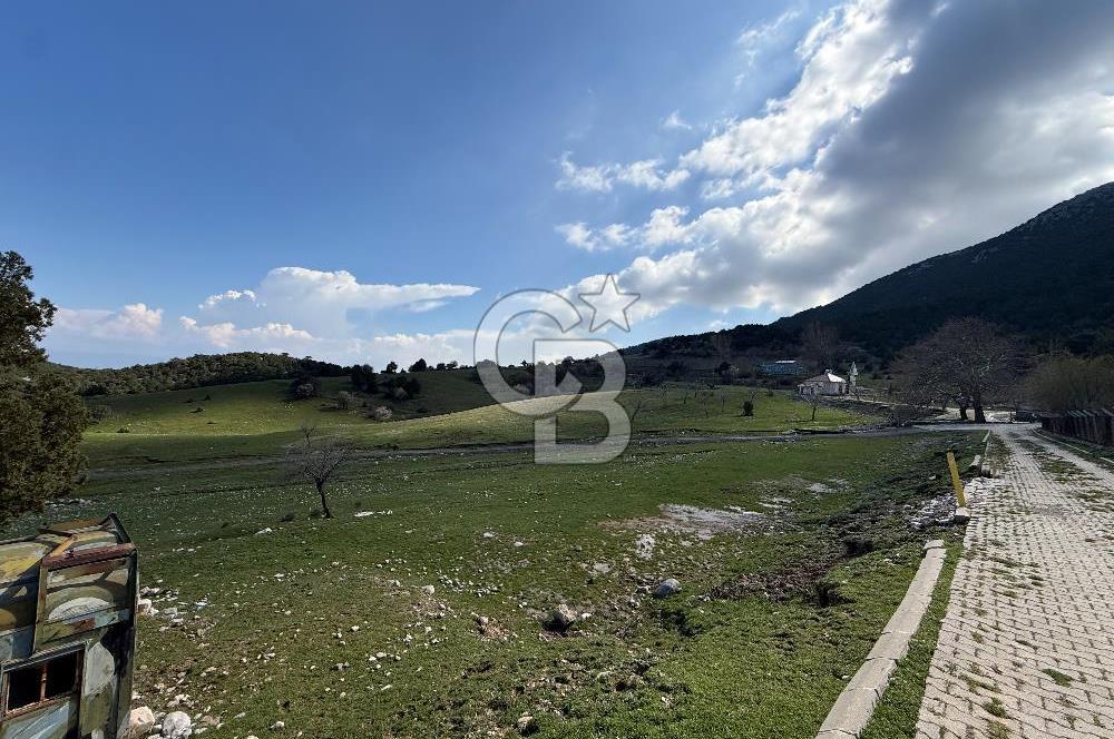 Manisa Ayvacık'ta Ana Yola Yakın 5664m² Elmalık Satılık Tarla