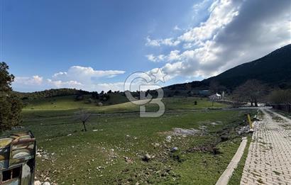 Manisa Ayvacık'ta Ana Yola Yakın 5664m² Elmalık Satılık Tarla