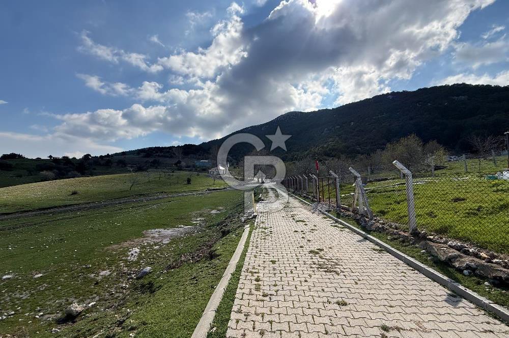 Manisa Ayvacık'ta Ana Yola Yakın 5664m² Elmalık Satılık Tarla