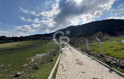 Manisa Ayvacık'ta Ana Yola Yakın 5664m² Elmalık Satılık Tarla