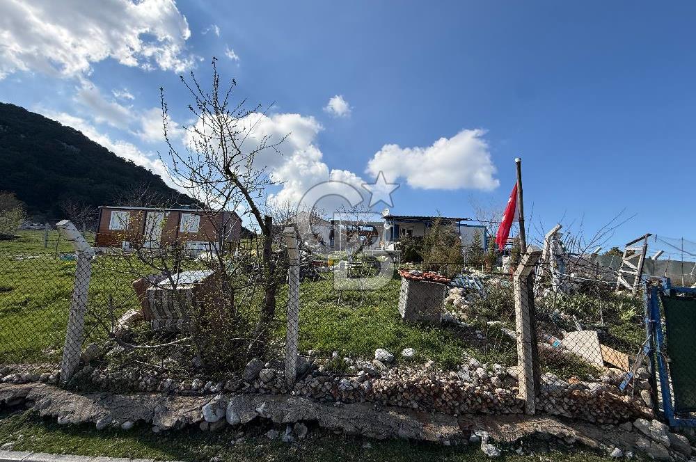 Manisa Ayvacık'ta Ana Yola Yakın 5664m² Elmalık Satılık Tarla