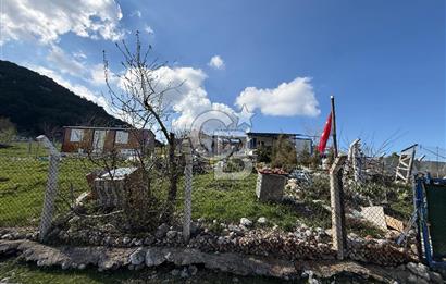 Manisa Ayvacık'ta Ana Yola Yakın 5664m² Elmalık Satılık Tarla