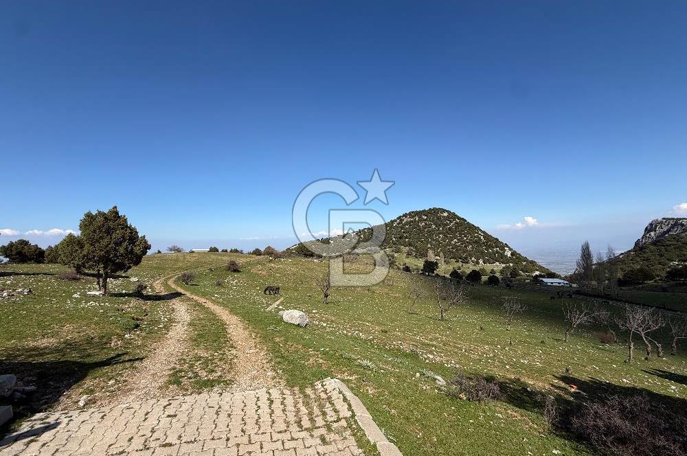 Manisa Ayvacık'ta Ana Yola Yakın 5664m² Elmalık Satılık Tarla