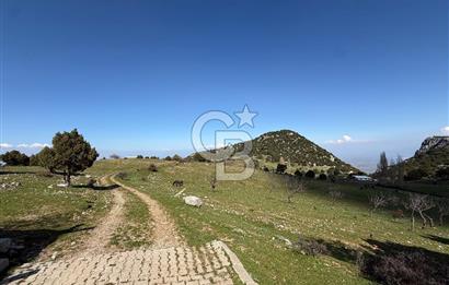 Manisa Ayvacık'ta Ana Yola Yakın 5664m² Elmalık Satılık Tarla