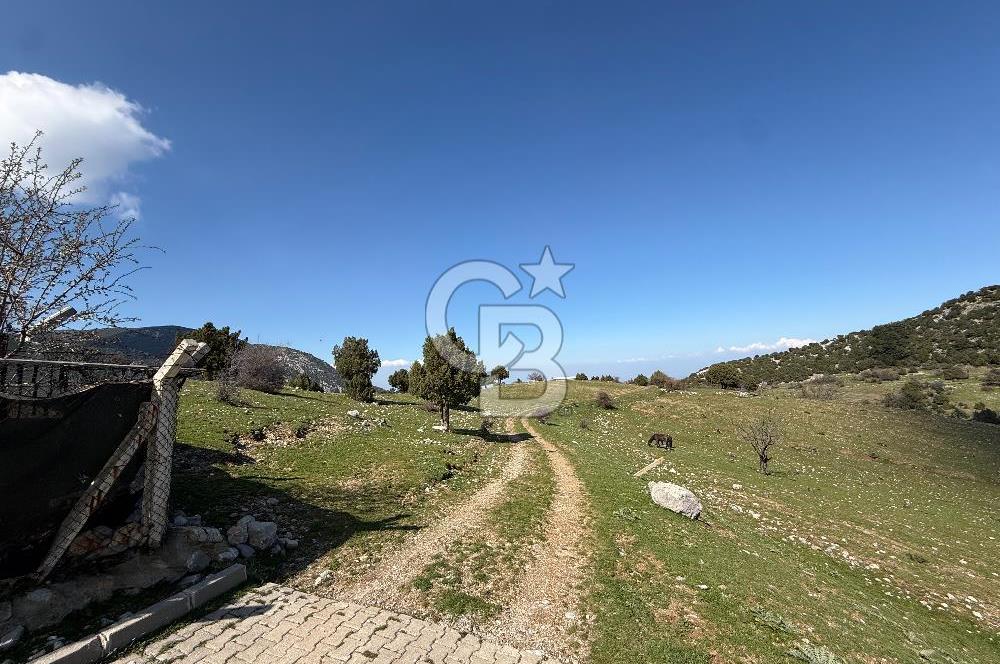 Manisa Ayvacık'ta Ana Yola Yakın 5664m² Elmalık Satılık Tarla