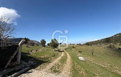 Manisa Ayvacık'ta Ana Yola Yakın 5664m² Elmalık Satılık Tarla