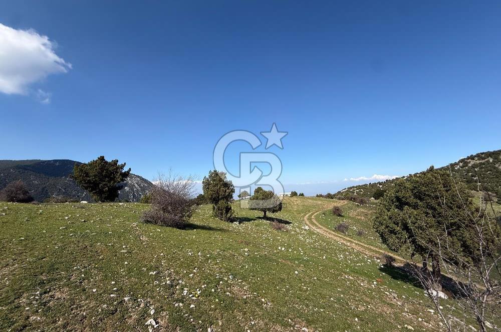 Manisa Ayvacık'ta Ana Yola Yakın 5664m² Elmalık Satılık Tarla