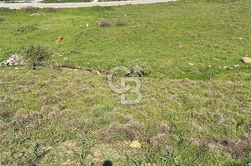 İzmir Çiğli Harmandalı Satlık Fırsat Arsa