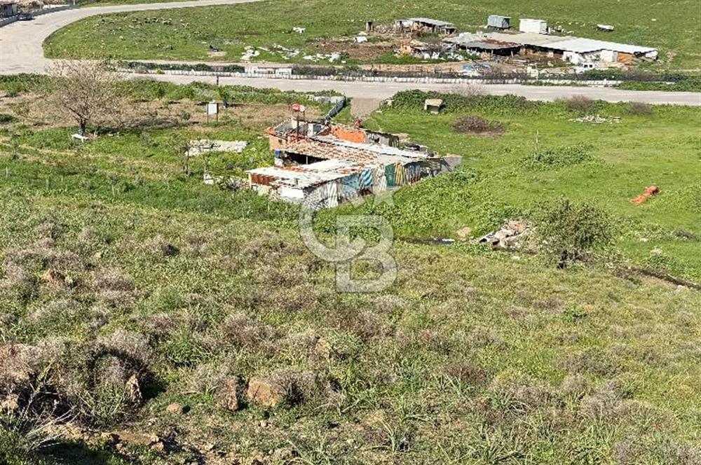 İzmir Çiğli Harmandalı Satlık Fırsat Arsa