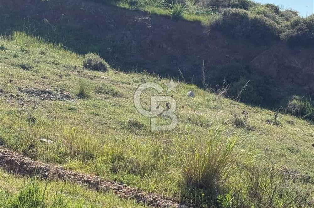 İzmir Çiğli Harmandalı Satlık Fırsat Arsa