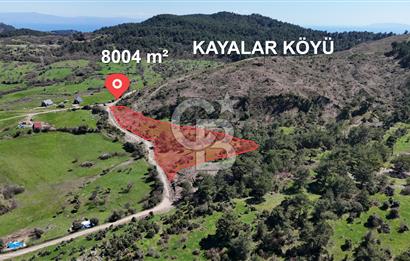 ÇANAKKALE AYVACIK KAYALAR KÖYÜNDE 8.004 m² SATILIK TARLA