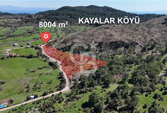 ÇANAKKALE AYVACIK KAYALAR KÖYÜNDE 8.004 m² SATILIK TARLA - 2 - 343053