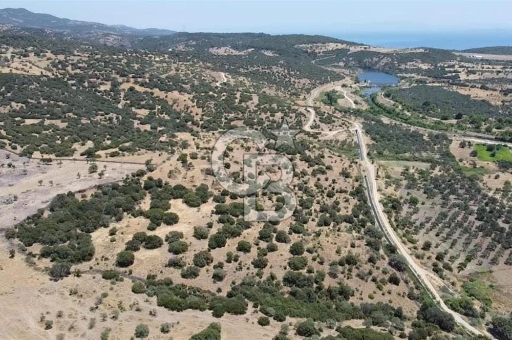 ÇANAKKALE AYVACIK BEHRAMKALE SATILIK TARLA 25.234 m2