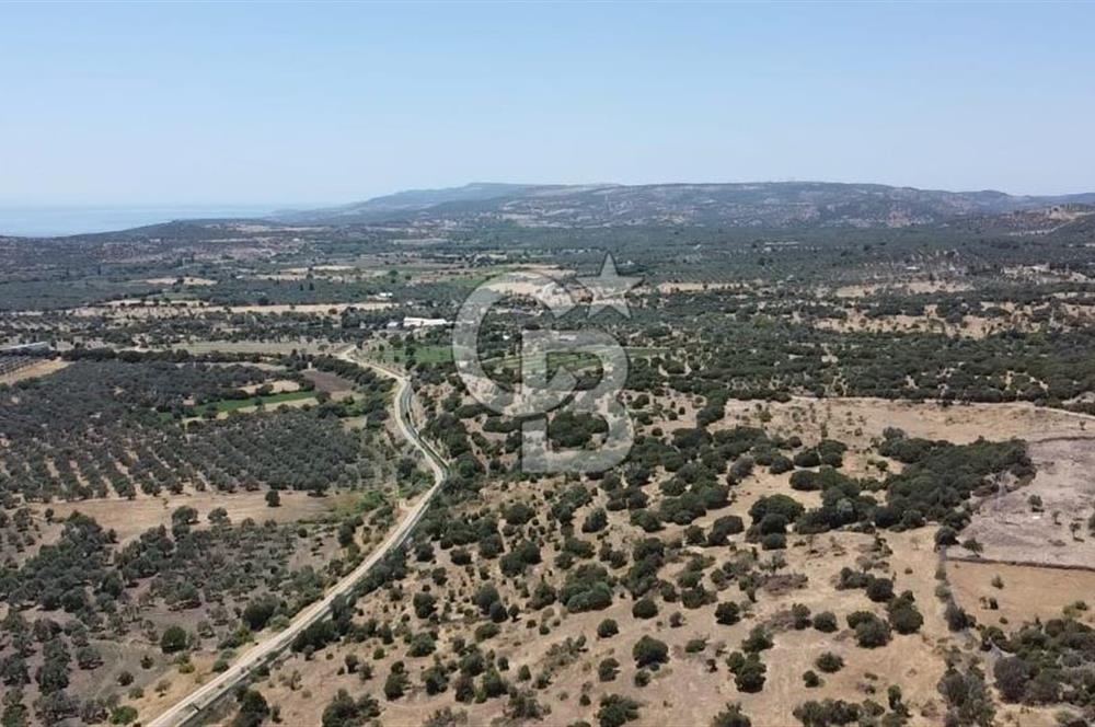 ÇANAKKALE AYVACIK BEHRAMKALE SATILIK TARLA 25.234 m2