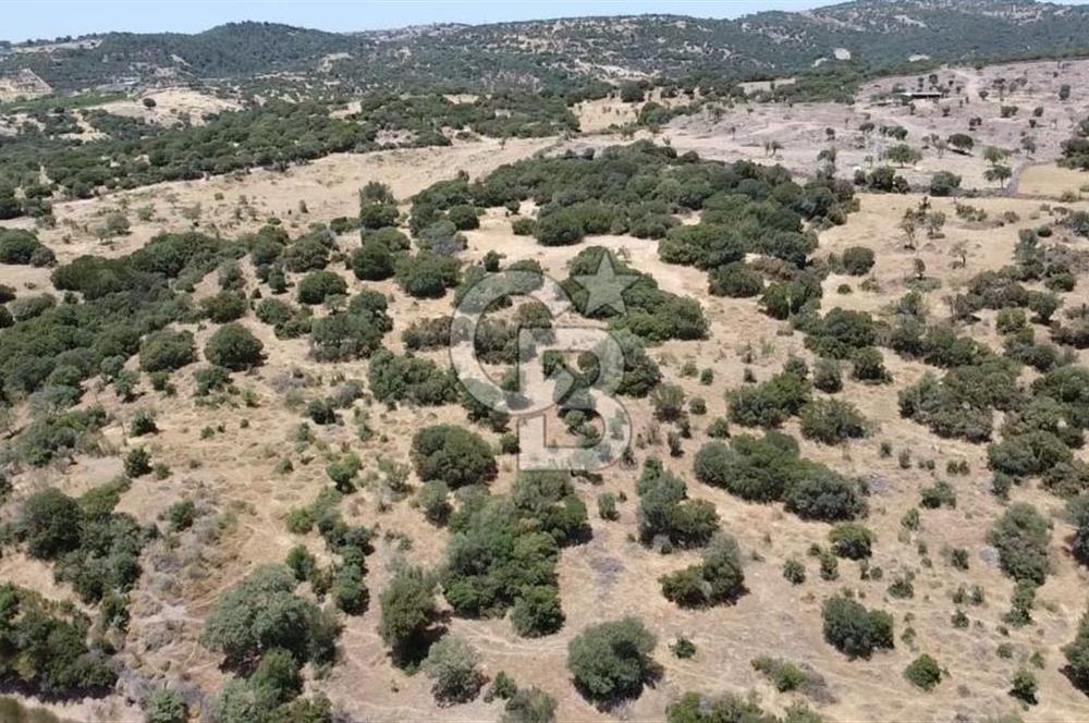 ÇANAKKALE AYVACIK BEHRAMKALE SATILIK TARLA 25.234 m2