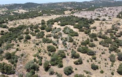 ÇANAKKALE AYVACIK BEHRAMKALE SATILIK TARLA 25.234 m2