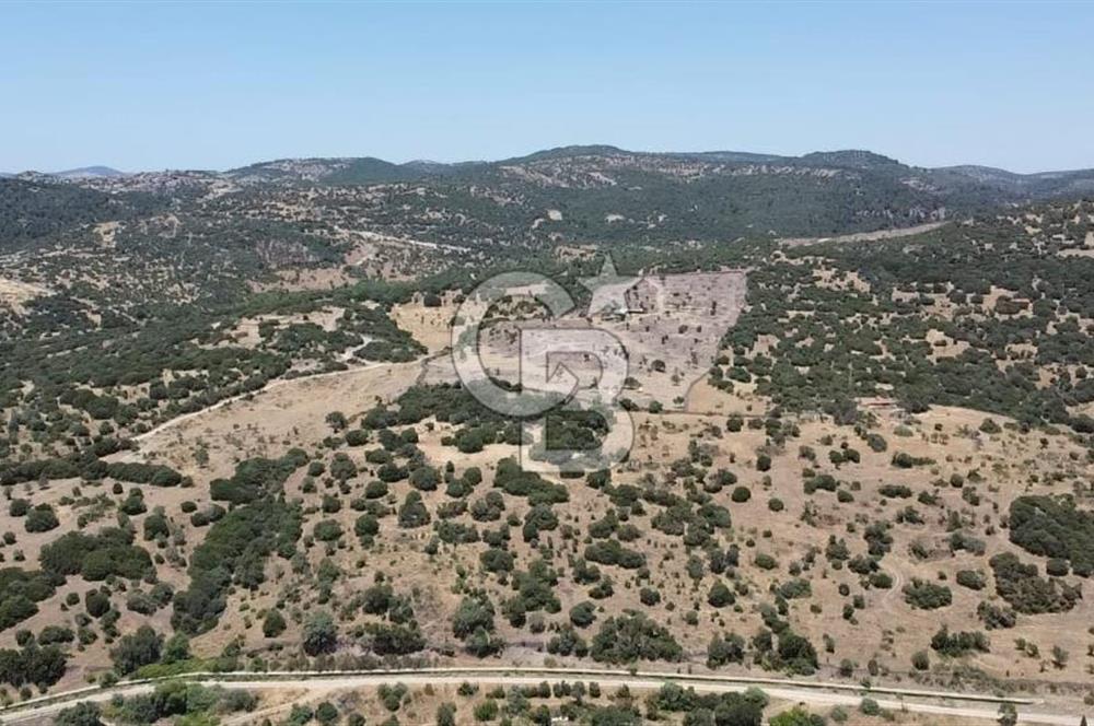 ÇANAKKALE AYVACIK BEHRAMKALE SATILIK TARLA 25.234 m2