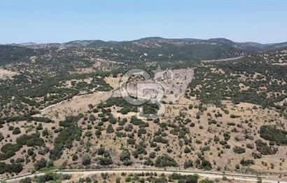 ÇANAKKALE AYVACIK BEHRAMKALE SATILIK TARLA 25.234 m2
