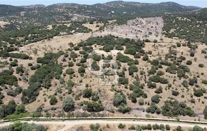 ÇANAKKALE AYVACIK BEHRAMKALE SATILIK TARLA 25.234 m2