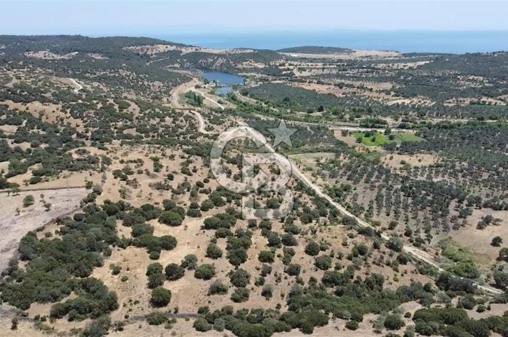 ÇANAKKALE AYVACIK BEHRAMKALE SATILIK TARLA 25.234 m2