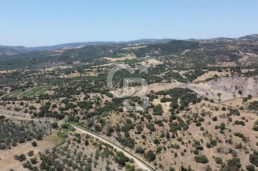 ÇANAKKALE AYVACIK BEHRAMKALE SATILIK TARLA 25.234 m2