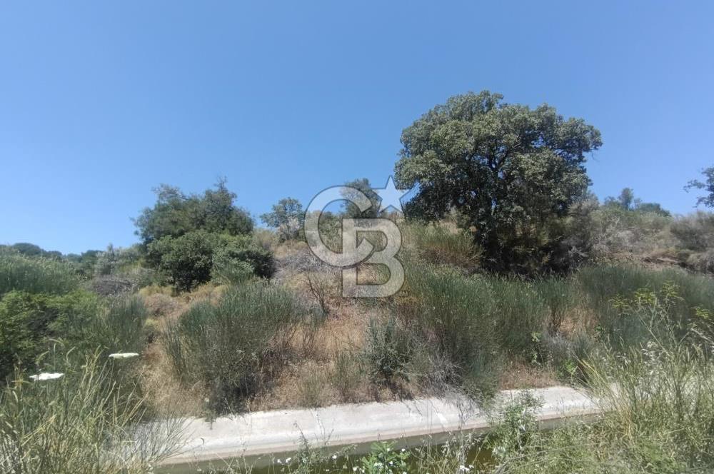 ÇANAKKALE AYVACIK BEHRAMKALE SATILIK TARLA 25.234 m2