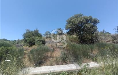 ÇANAKKALE AYVACIK BEHRAMKALE SATILIK TARLA 25.234 m2