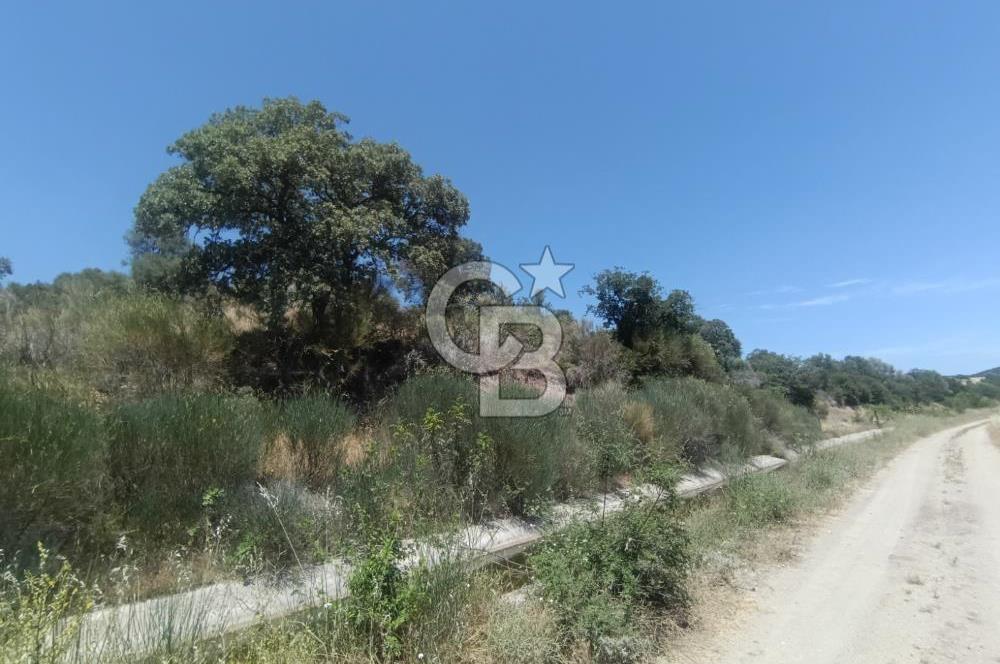 ÇANAKKALE AYVACIK BEHRAMKALE SATILIK TARLA 25.234 m2