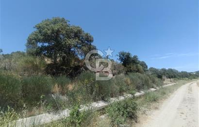 ÇANAKKALE AYVACIK BEHRAMKALE SATILIK TARLA 25.234 m2