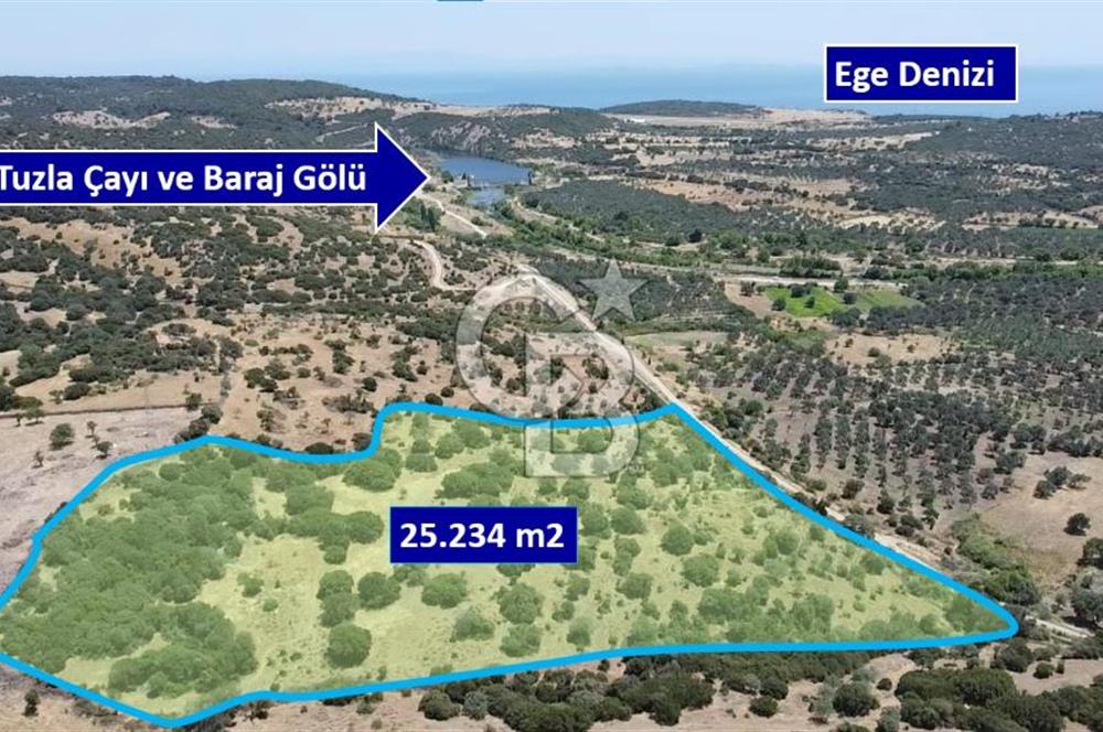 ÇANAKKALE AYVACIK BEHRAMKALE SATILIK TARLA 25.234 m2