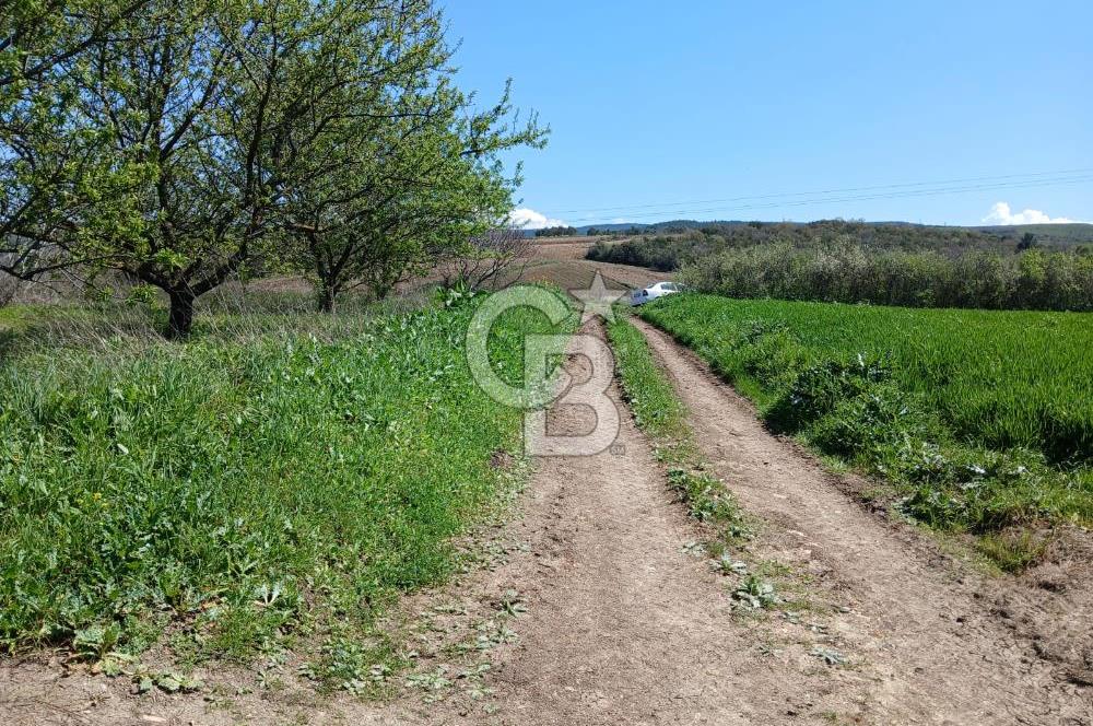 LAPSEKİ SULUCA DENİZ MANZARALI 5029 M2 SATILIK ARAZİ