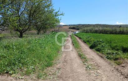 LAPSEKİ SULUCA DENİZ MANZARALI 5029 M2 SATILIK ARAZİ